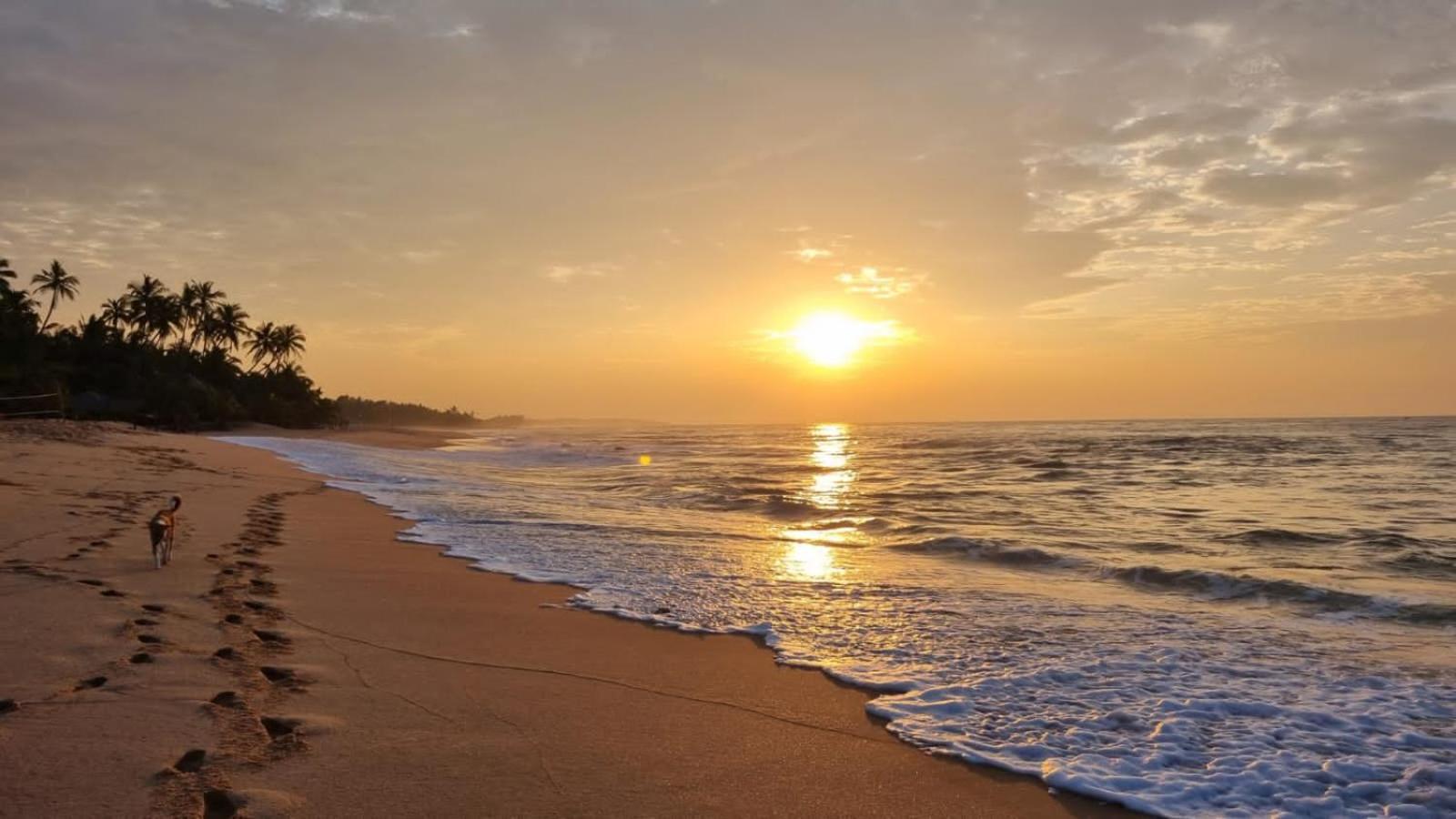Cinnabar Resort Тангалла Экстерьер фото